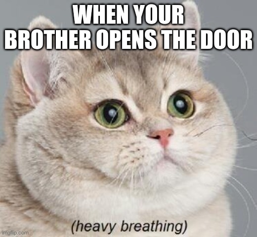 fr bra | WHEN YOUR BROTHER OPENS THE DOOR | image tagged in memes,heavy breathing cat | made w/ Imgflip meme maker