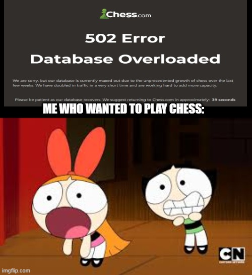 CHESS.COM IS DOWN AS OF NOW! | ME WHO WANTED TO PLAY CHESS: | image tagged in holy s t,chess | made w/ Imgflip meme maker