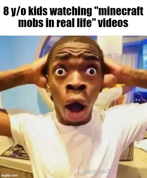 l | 8 y/o kids watching "minecraft mobs in real life" videos | image tagged in shocked black guy | made w/ Imgflip meme maker