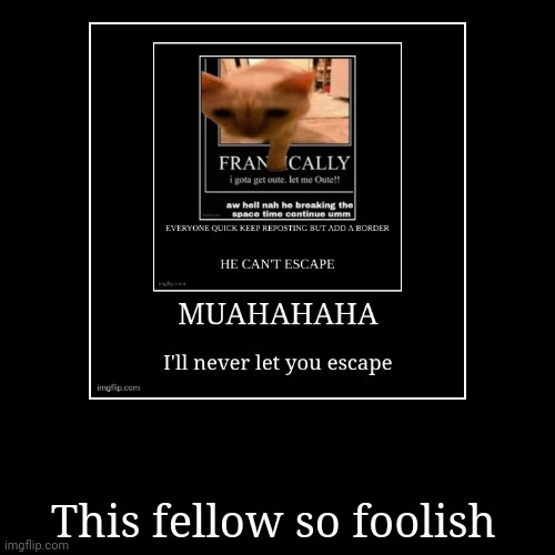 image tagged in funny,demotivationals | made w/ Imgflip demotivational maker