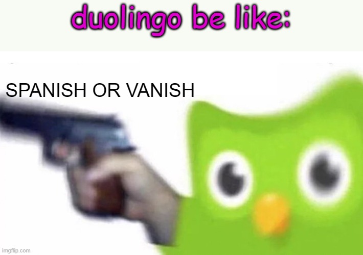 duolingo gun | duolingo be like:; SPANISH OR VANISH | image tagged in duolingo gun,spanish,or,vanish modafuka,funy,mems | made w/ Imgflip meme maker