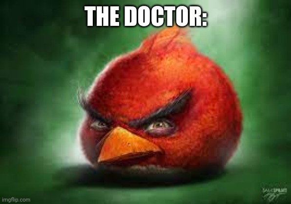 Realistic Red Angry Birds | THE DOCTOR: | image tagged in realistic red angry birds | made w/ Imgflip meme maker
