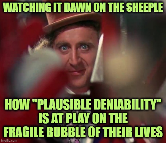 WATCHING IT DAWN ON THE SHEEPLE HOW "PLAUSIBLE DENIABILITY" IS AT PLAY ON THE FRAGILE BUBBLE OF THEIR LIVES | made w/ Imgflip meme maker