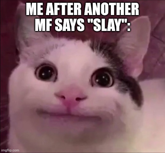 Awkward Smile Cat | ME AFTER ANOTHER MF SAYS "SLAY": | image tagged in awkward smile cat | made w/ Imgflip meme maker