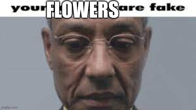 Your jordans are fake | FLOWERS | image tagged in your jordans are fake | made w/ Imgflip meme maker