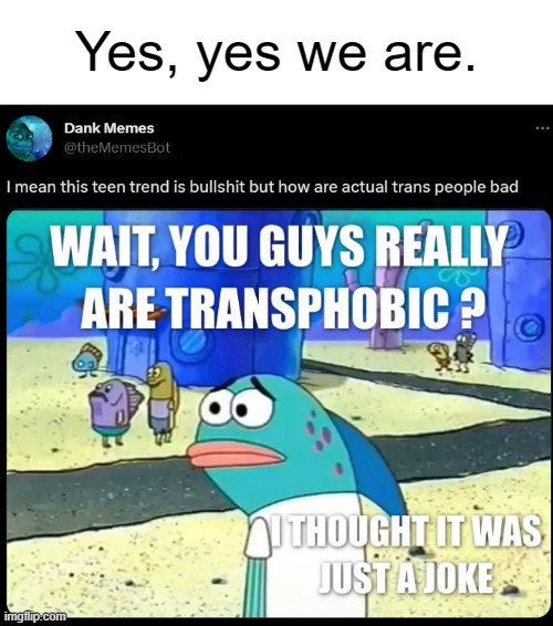 Yes, yes we are. | made w/ Imgflip meme maker