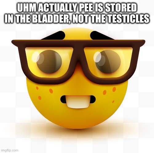 Pee is stored in the balls in the balls | UHM ACTUALLY PEE IS STORED IN THE BLADDER, NOT THE TESTICLES | image tagged in nerd emoji,nerd,pee is stored in the balls,goofy ahh,uhm actually | made w/ Imgflip meme maker