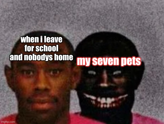 my seven pets | when i leave for school and nobodys home; my seven pets | image tagged in good tyler and bad tyler,seven pets,memes | made w/ Imgflip meme maker