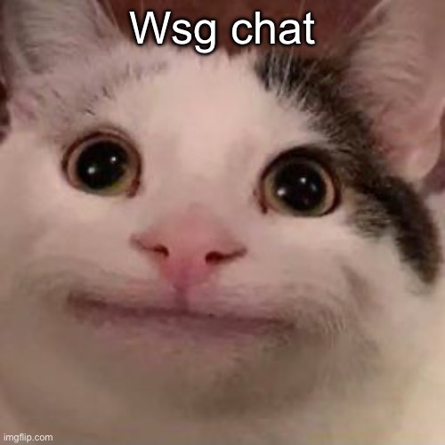 beguguluga | Wsg chat | image tagged in beguguluga | made w/ Imgflip meme maker