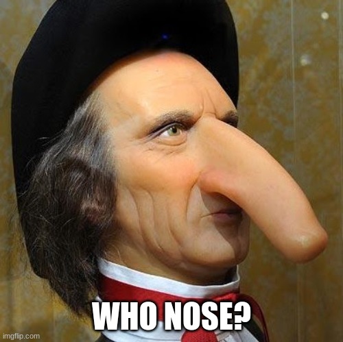funny nose | WHO NOSE? | image tagged in funny nose | made w/ Imgflip meme maker