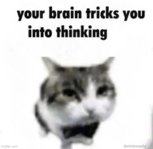 your brain tricks you into thinking | image tagged in your brain tricks you into thinking | made w/ Imgflip meme maker