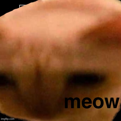 he’s here | meow | image tagged in bruh,lol,why are you reading this | made w/ Imgflip meme maker