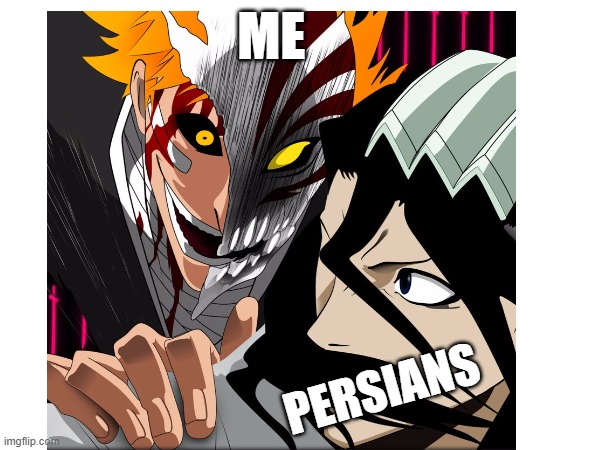 the relationship between me and persians | ME; PERSIANS | image tagged in iran,persians,persian,funny memes,arabic grammar,persian scienctists | made w/ Imgflip meme maker