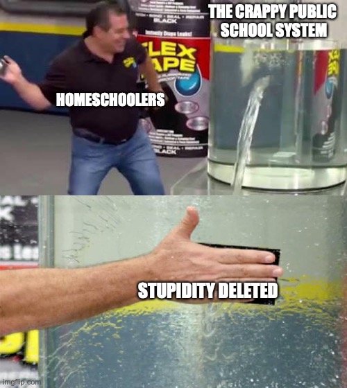 why | THE CRAPPY PUBLIC 
SCHOOL SYSTEM; HOMESCHOOLERS; STUPIDITY DELETED | image tagged in flex tape | made w/ Imgflip meme maker