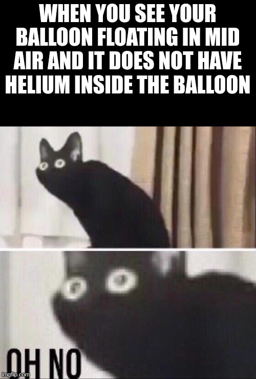 When your balloon floats | WHEN YOU SEE YOUR BALLOON FLOATING IN MID AIR AND IT DOES NOT HAVE HELIUM INSIDE THE BALLOON | image tagged in oh no cat,run | made w/ Imgflip meme maker