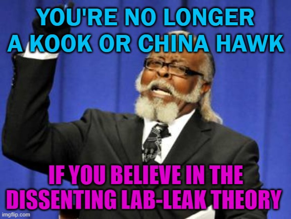 You're no longer a kook or China hawk If You Believe in the dissenting lab-leak theory | YOU'RE NO LONGER A KOOK OR CHINA HAWK; IF YOU BELIEVE IN THE DISSENTING LAB-LEAK THEORY | image tagged in memes,too damn high | made w/ Imgflip meme maker