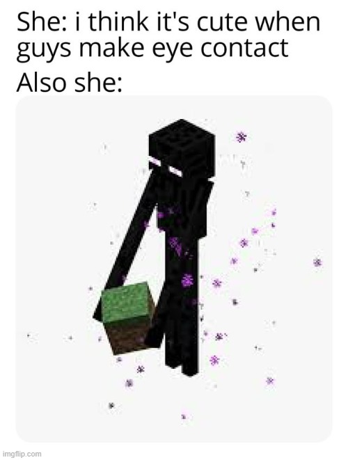 enderwoman | image tagged in minecraft,memes,funny | made w/ Imgflip meme maker