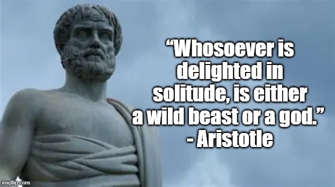 Solitude | “Whosoever is delighted in solitude, is either a wild beast or a god.” 
- Aristotle | image tagged in aristotle,philosophy | made w/ Imgflip meme maker