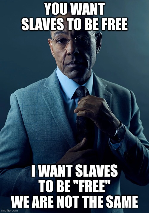 We are not the same | YOU WANT SLAVES TO BE FREE; I WANT SLAVES TO BE "FREE" WE ARE NOT THE SAME | image tagged in we are not the same | made w/ Imgflip meme maker