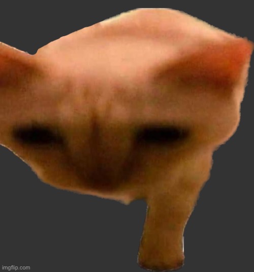 HE’S OUT | made w/ Imgflip meme maker