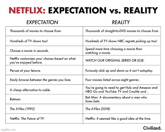 Netflix in a nutshell: | image tagged in netflix,scumbag netflix | made w/ Imgflip meme maker