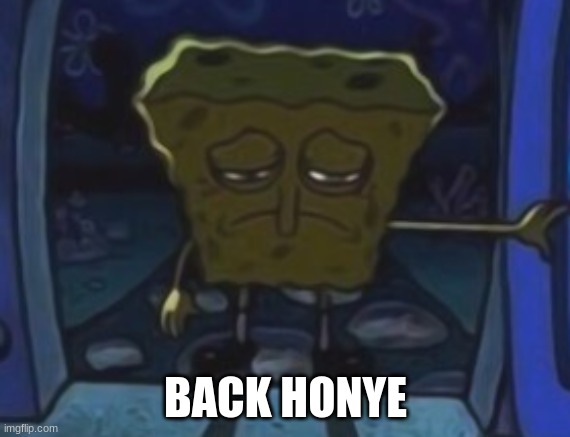 sad spongebob | BACK HONYE | image tagged in sad spongebob | made w/ Imgflip meme maker