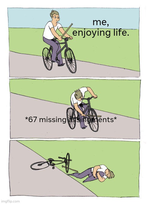 Bike Fall Meme | me, enjoying life. *67 missing assingments* | image tagged in memes,bike fall | made w/ Imgflip meme maker