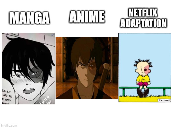 Netflix adaptation meme | ANIME; NETFLIX
 ADAPTATION; MANGA | image tagged in netflix | made w/ Imgflip meme maker