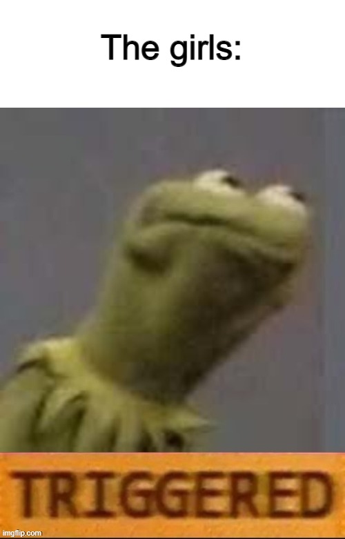 Kermit Triggered | The girls: | image tagged in kermit triggered | made w/ Imgflip meme maker