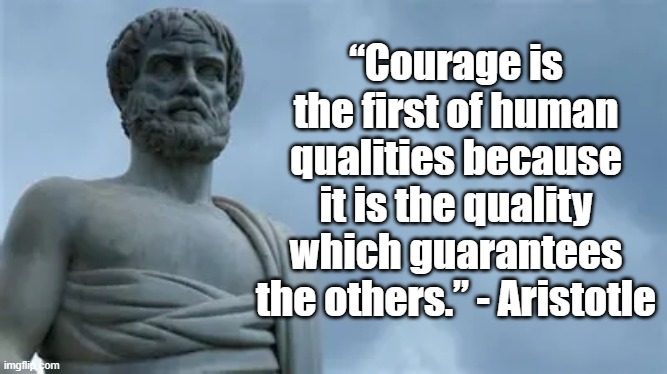Courage is the root of virtue | “Courage is the first of human qualities because it is the quality which guarantees the others.” - Aristotle | image tagged in aristotle,philosophy,courage the cowardly dog,greeks | made w/ Imgflip meme maker