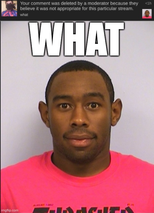 WHAT | image tagged in tyler mugshot | made w/ Imgflip meme maker