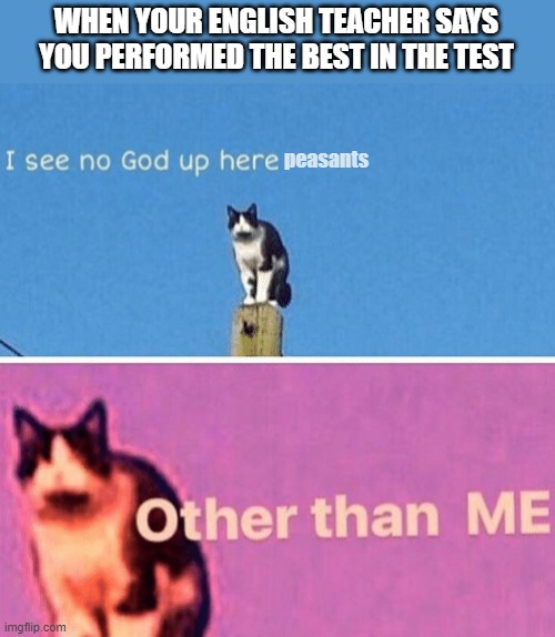 Bow down to thine master of literature | WHEN YOUR ENGLISH TEACHER SAYS YOU PERFORMED THE BEST IN THE TEST; peasants | image tagged in hail pole cat | made w/ Imgflip meme maker