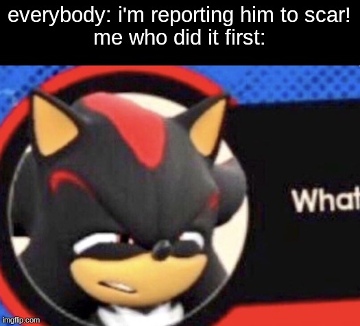 and i linked proof and everything, yall aint even got proof or full knowledge of what he did | everybody: i'm reporting him to scar!
me who did it first: | image tagged in shadow what | made w/ Imgflip meme maker