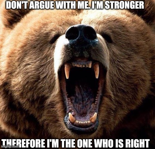 Don't poke the bear  | DON'T ARGUE WITH ME. I'M STRONGER; THEREFORE I'M THE ONE WHO IS RIGHT | image tagged in don't poke the bear | made w/ Imgflip meme maker