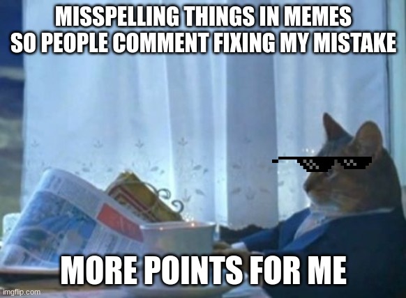 Stonks | MISSPELLING THINGS IN MEMES SO PEOPLE COMMENT FIXING MY MISTAKE; MORE POINTS FOR ME | image tagged in memes,i should buy a boat cat | made w/ Imgflip meme maker