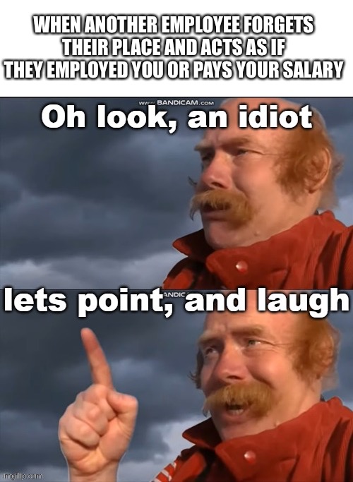 Employee employer | WHEN ANOTHER EMPLOYEE FORGETS THEIR PLACE AND ACTS AS IF THEY EMPLOYED YOU OR PAYS YOUR SALARY | image tagged in oh look an idiot | made w/ Imgflip meme maker