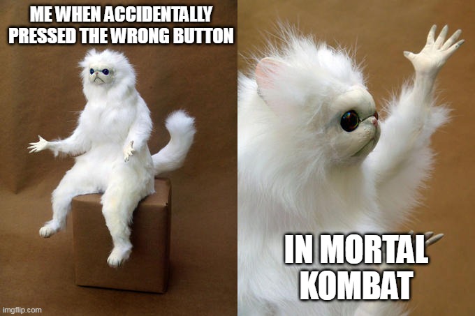 Persian Cat Room Guardian | ME WHEN ACCIDENTALLY PRESSED THE WRONG BUTTON; IN MORTAL KOMBAT | image tagged in memes,persian cat room guardian | made w/ Imgflip meme maker