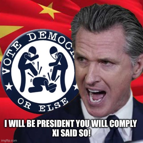 Xi said so | I WILL BE PRESIDENT YOU WILL COMPLY 
XI SAID SO! | image tagged in vote d or else | made w/ Imgflip meme maker