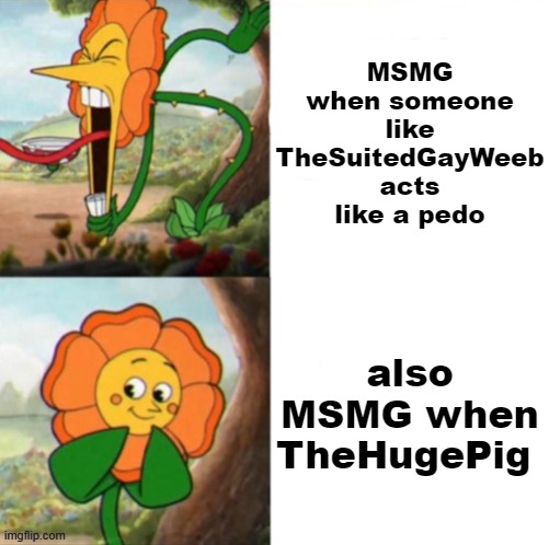 I mean, I get what you're saying and all but still | MSMG when someone like TheSuitedGayWeeb acts like a pedo; also MSMG when TheHugePig | made w/ Imgflip meme maker