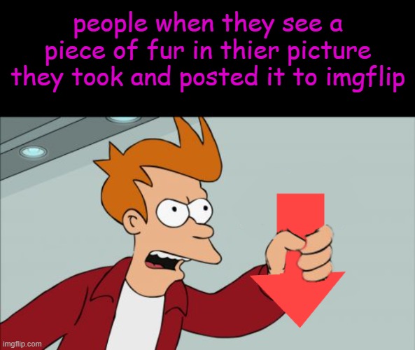 D I E | people when they see a piece of fur in thier picture they took and posted it to imgflip | image tagged in shut up and take my downvote,furry,fur,relatable for furries,funy,mems | made w/ Imgflip meme maker