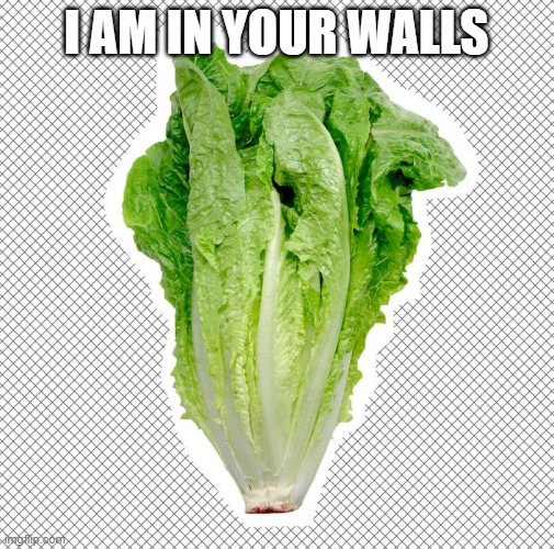 Romaine lettuce | I AM IN YOUR WALLS | image tagged in romaine lettuce | made w/ Imgflip meme maker