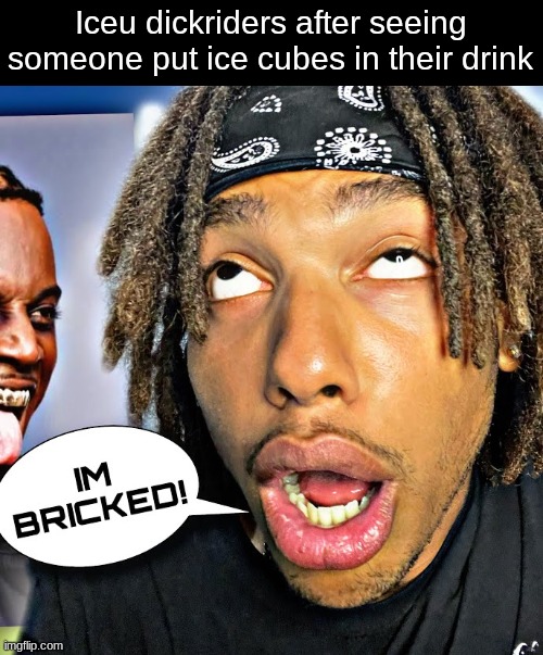 IM BRICKED! | Iceu dickriders after seeing someone put ice cubes in their drink | image tagged in im bricked | made w/ Imgflip meme maker