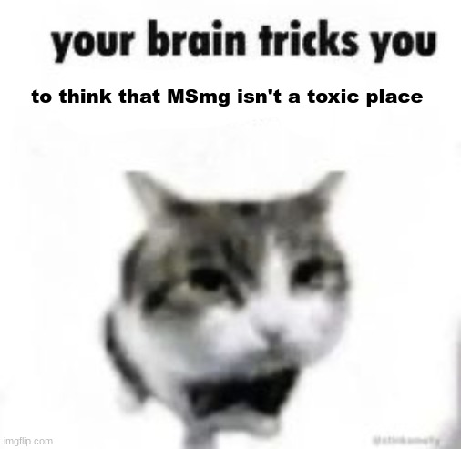 true meme | to think that MSmg isn't a toxic place | image tagged in your brain tricks you,memes,shitpost,msmg,oh wow are you actually reading these tags | made w/ Imgflip meme maker
