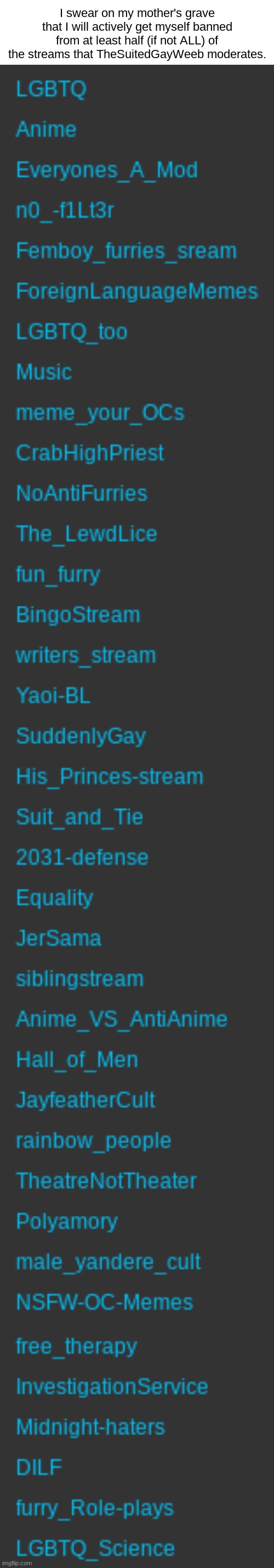 I swear on my mother's grave that I will actively get myself banned from at least half (if not ALL) of the streams that TheSuitedGayWeeb moderates. | image tagged in corrupt png | made w/ Imgflip meme maker