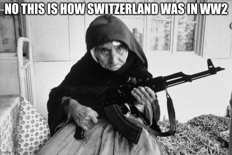 Ummm actually? | NO THIS IS HOW SWITZERLAND WAS IN WW2 | image tagged in switzerland | made w/ Imgflip meme maker