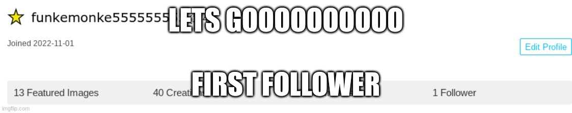 horray | LETS GOOOOOOOOOO; FIRST FOLLOWER | image tagged in followers | made w/ Imgflip meme maker