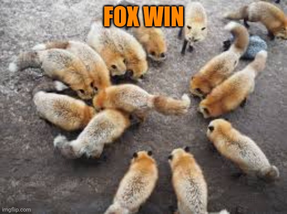 FOX WIN | made w/ Imgflip meme maker