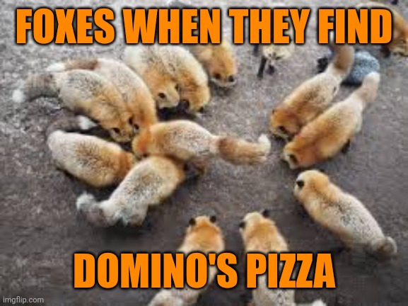 Important fox memes | FOXES WHEN THEY FIND; DOMINO'S PIZZA | image tagged in foxes,important,facts | made w/ Imgflip meme maker