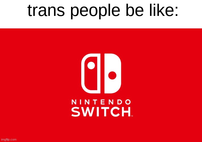 kinda offensive | trans people be like: | image tagged in nintendo switch,funny,dark humor | made w/ Imgflip meme maker