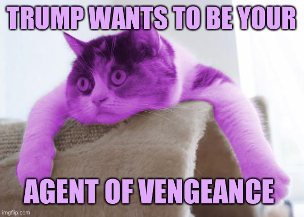 DeSantis or Trump?  Choose now! | TRUMP WANTS TO BE YOUR; AGENT OF VENGEANCE | image tagged in raycat stare,memes,raycat | made w/ Imgflip meme maker